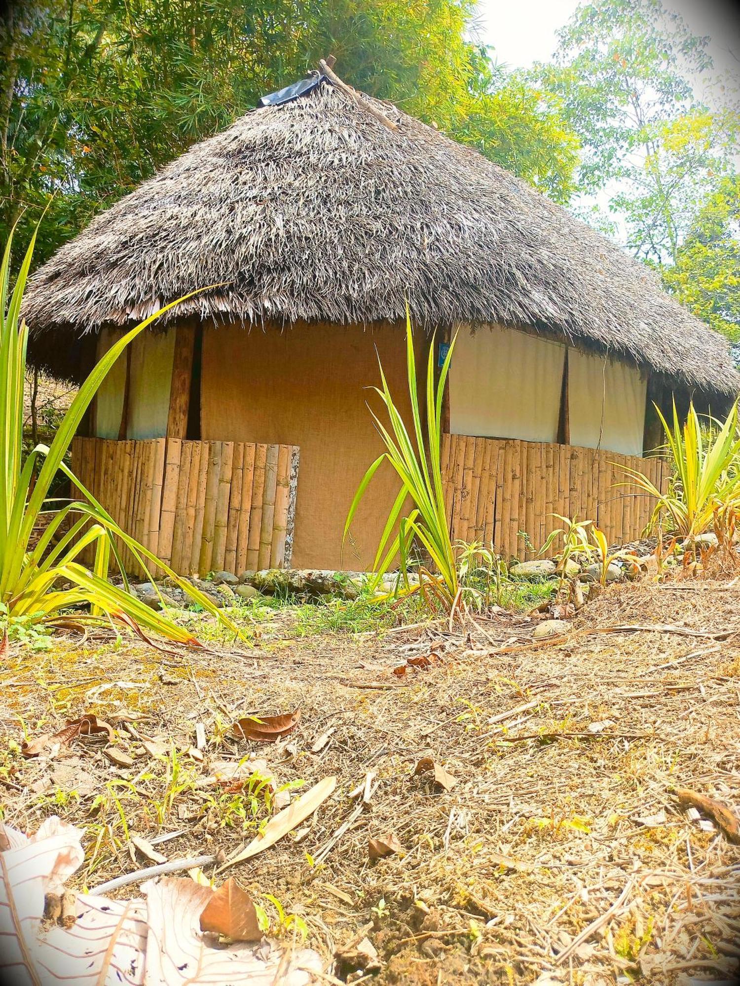 Hotel Hosteria Cacique Wasi Puyo Zewnętrze zdjęcie